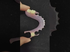 Prótese de valplast