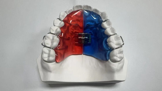 comprar Estojos para implantes de 2,4 onças para esterilização odontológica por vapor online manufacture