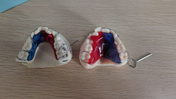 comprar Casos de implante dentário de alta durabilidade Casos de implante dentário artificial para profissionais dentários online manufacture